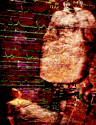 Jan 20, 2004 