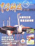 Dec 2005 
