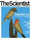 2010 No. 01 