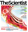 2010 No. 09 